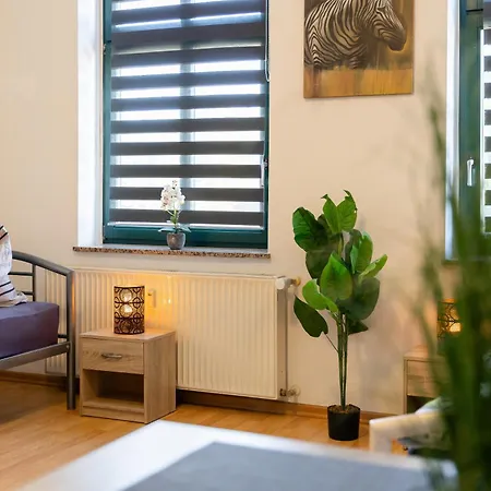 Flex Aparts - Moeblierte 2-raum In Apartment Zwickau